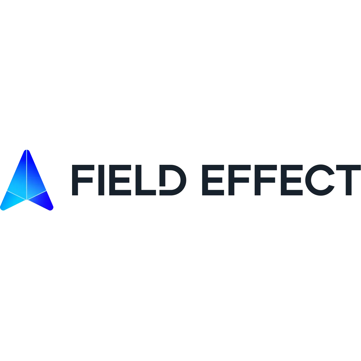 field effect cybersecurity provider